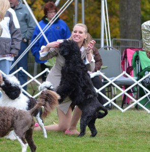 Willow & Natasha having fun in the breed ring 2012 PWDCA National