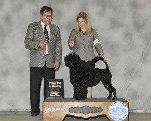 Portia at 11 mo going Winners Bitch and Best of Opposite Sex at Elma - May 2010