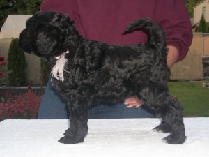 Lt Pink girl 6 weeks stack (C x W)